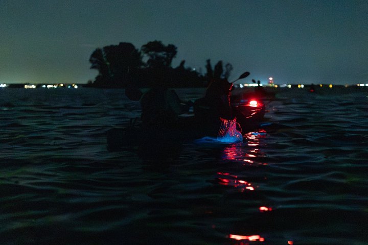 Kajakkturer og utleie. Delfiner, sjøkuer og bioluminescens!