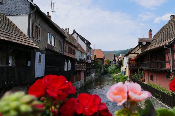 En halvdagstur til Alsace-landsbyer og vingårder med start fra Colmar