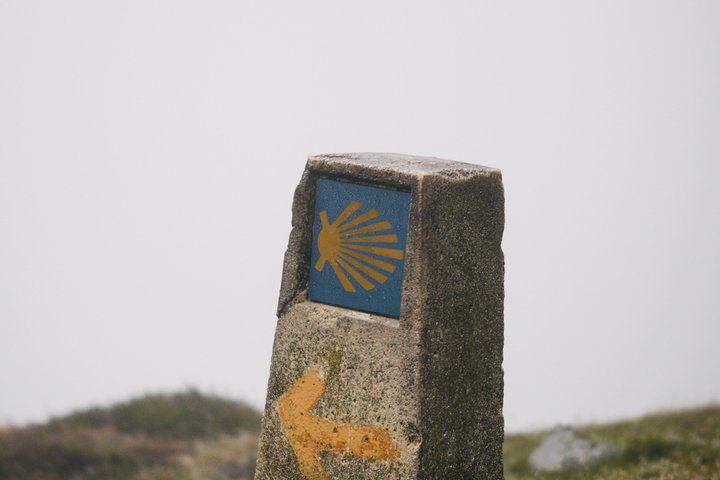 One day on the Portuguese Way to Santiago from Douro Valley