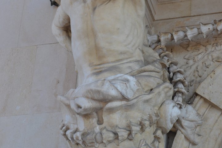 Visite guidée à Toulon : Port provençal et magnifique vieille ville