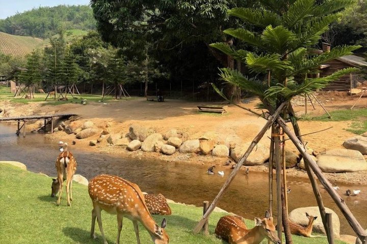 チェンライの見どころを巡るカスタマイズ可能なプライベート日帰りツアー