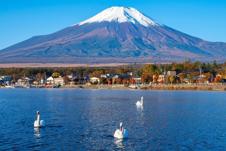 Mount Fuji Full Day Sightseeing Tour from Tokyo