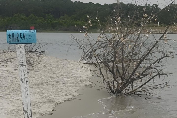 Passeio Privado de Tiki em Águas, Aventura Tropical Cênica de 1,5 Hora