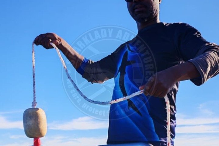 Haaienkooi Duiken met gratis lucht in kooi vanuit Gansbaai