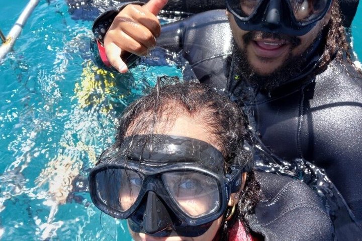Haaienkooi Duiken met gratis lucht in kooi vanuit Gansbaai