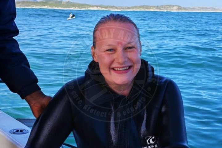 Haaienkooi Duiken met gratis lucht in kooi vanuit Gansbaai