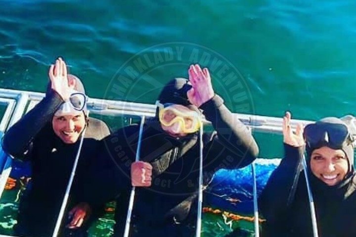 Haaienkooi Duiken met gratis lucht in kooi vanuit Gansbaai