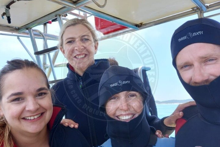 Haaienkooi Duiken met gratis lucht in kooi vanuit Gansbaai