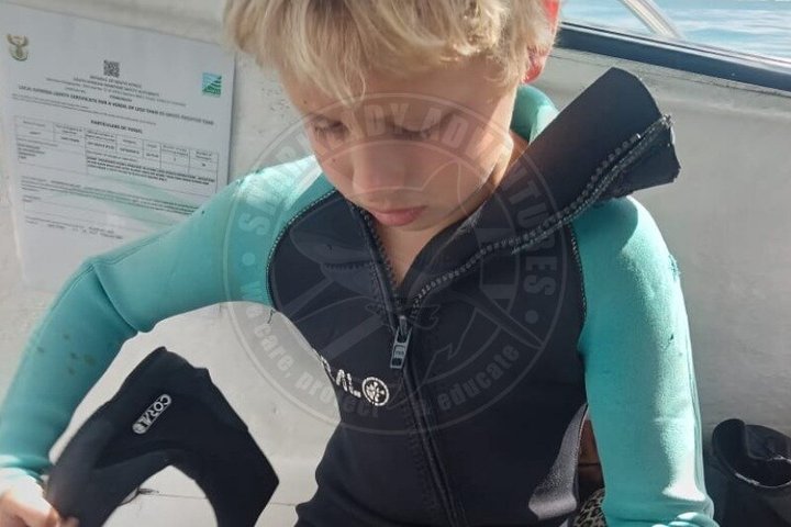 Haaienkooi Duiken met gratis lucht in kooi vanuit Gansbaai
