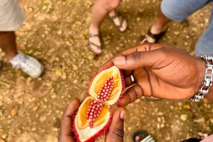 Zanzibar Jozani skog og krydder gård tur med Swahili lunsj