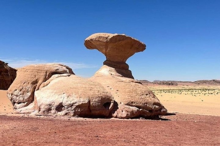 De Petra a Wadi Rum, luego de regreso a Ammán o al aeropuerto.