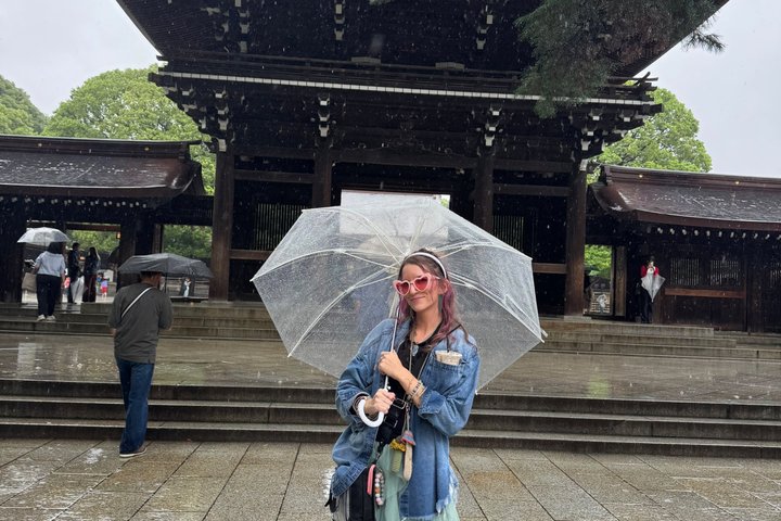 Visite privée personnalisée de Tokyo – Explorez votre chemin en 1 jour