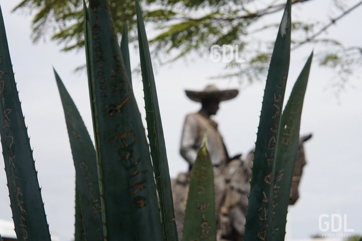 Tour naar Lake Chapala, MAGISCHE STAD van Ajijic vanuit Guadalajara