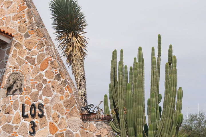 Tour naar Lake Chapala, MAGISCHE STAD van Ajijic vanuit Guadalajara