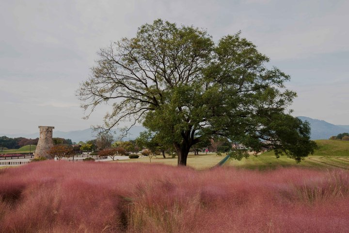 Gyeongju : Kleingruppentour mit Busan & Gyeongju Abholung