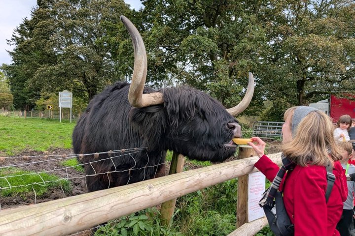 Højdepunkter af Skotland Custom Private Tour fra St Andrews