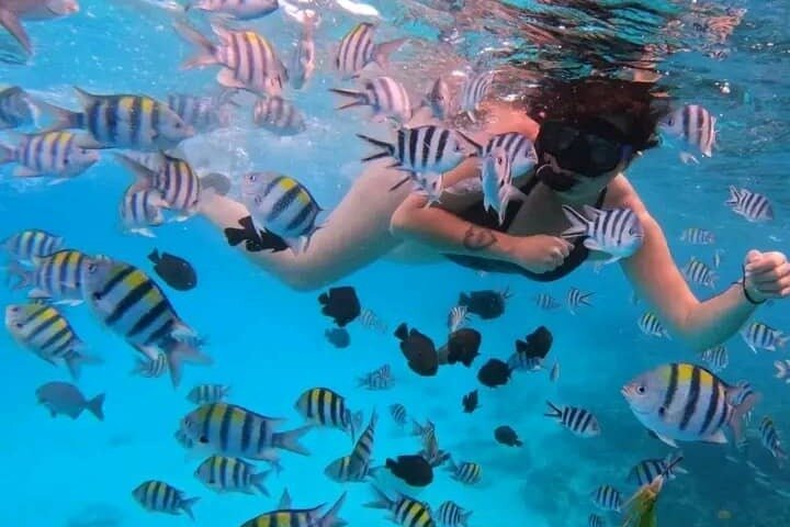 Aventura de Snorkeling em Mnemba Atoll em Zanzibar