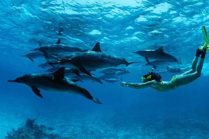 Aventura de Snorkeling em Mnemba Atoll em Zanzibar
