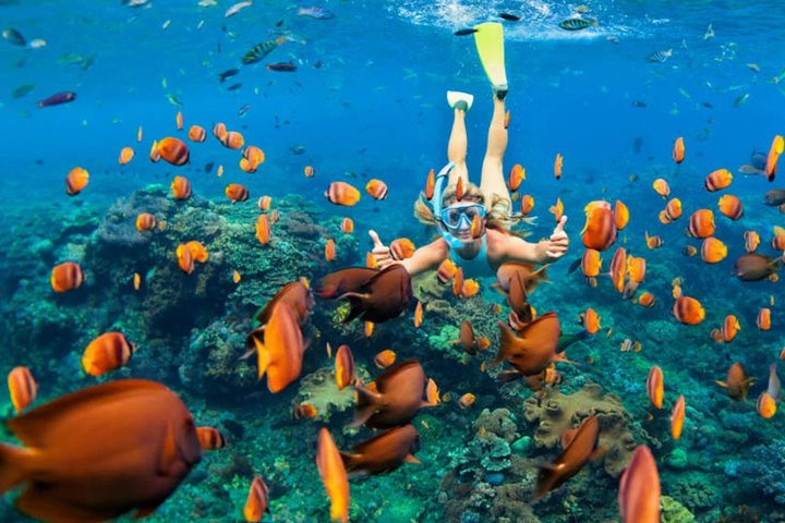 Aventura de Snorkeling em Mnemba Atoll em Zanzibar