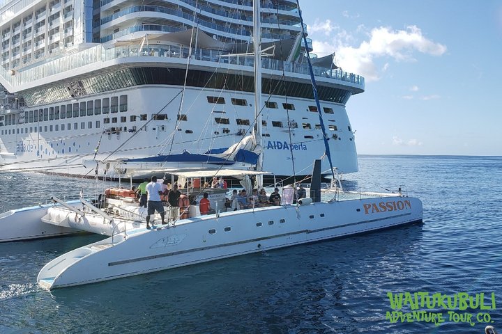 Waitukubuli Dolphin and Whale Watch in Dominica