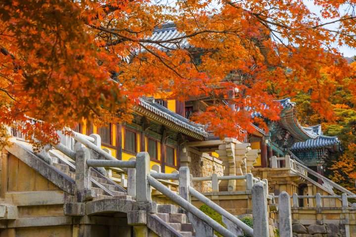 Tour privato di Gyeongju UNESCO con ritiro a Busan o Gyeongju