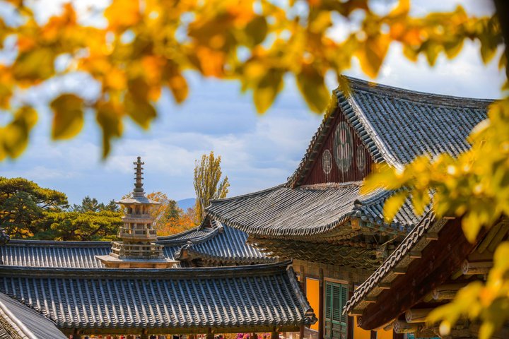 Tour privato di Gyeongju UNESCO con ritiro a Busan o Gyeongju