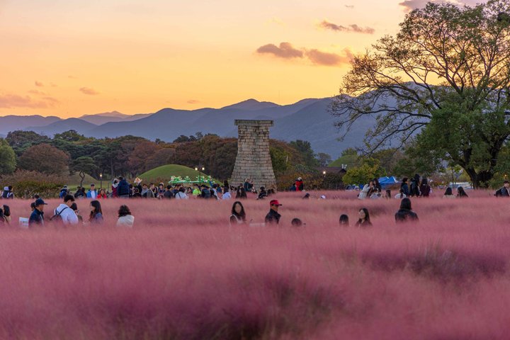 Tour privato di Gyeongju UNESCO con ritiro a Busan o Gyeongju