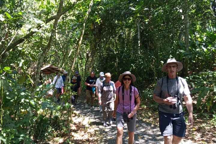 Rainforest Wildlife, Panama Hat-skapere, Tradisjonelt kjøkken. SHORE TOUR