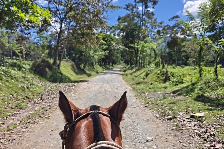 Equitazione a La Fortuna Waterfall