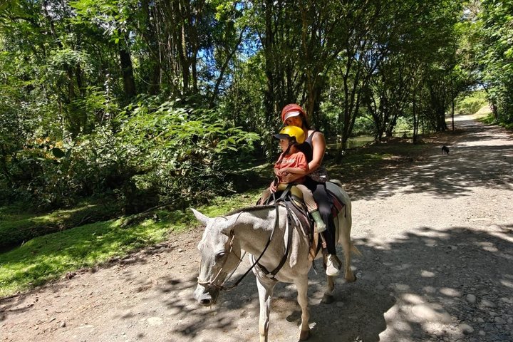 Equitazione a La Fortuna Waterfall