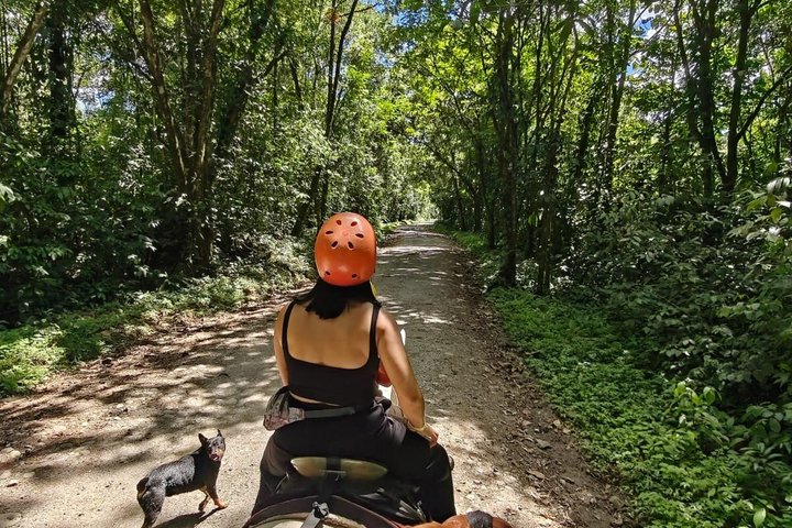 Equitazione a La Fortuna Waterfall