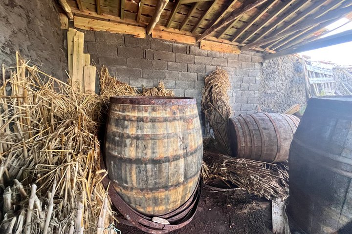 Tour privato del vino di Pico Island con degustazioni