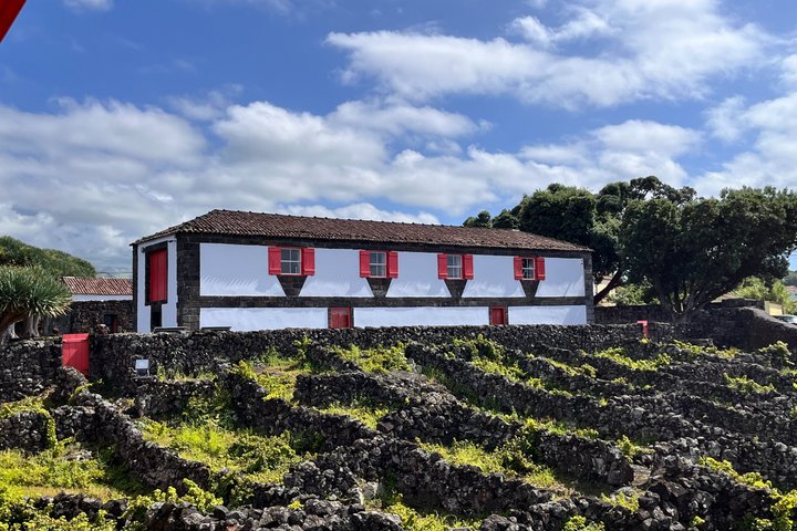 Tour privato del vino di Pico Island con degustazioni