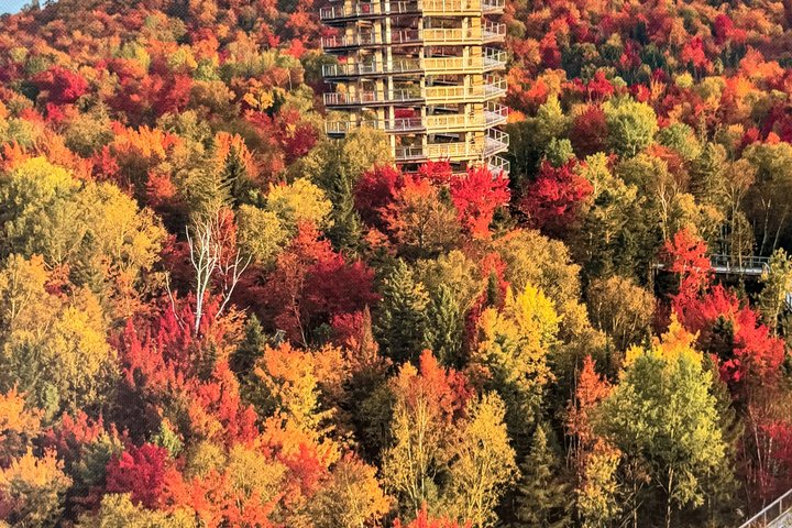 Privater Tagesausflug von Montreal nach Mont-Tremblant - Von Kian