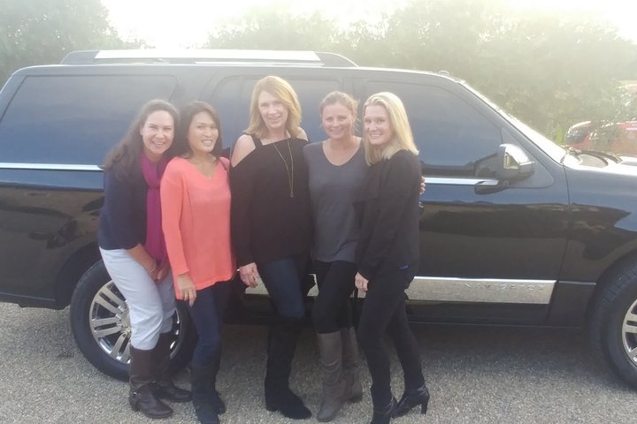 6 hour Luxury Sedan / SUV Private Wine Tour Napa or Sonoma Valley