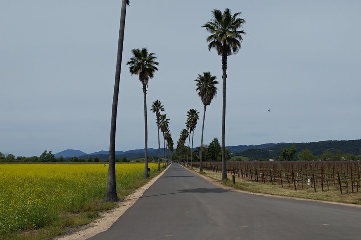 6 hour Luxury Sedan / SUV Private Wine Tour Napa or Sonoma Valley