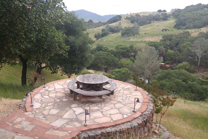 6 hour Luxury Sedan / SUV Private Wine Tour Napa or Sonoma Valley