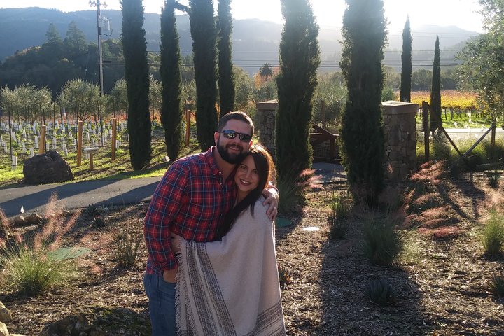 6 hour Luxury Sedan / SUV Private Wine Tour Napa or Sonoma Valley