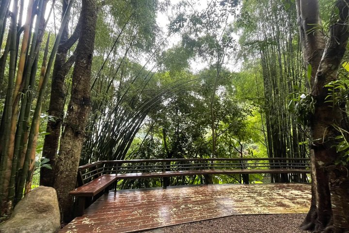 Chiang Mai - Tempio Doi Suthep ed escursione al Wat Pha Lat