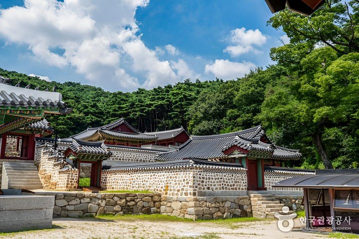 Hwaseong Fortress/Folk Village/Palace/Starfield Tour from Seoul