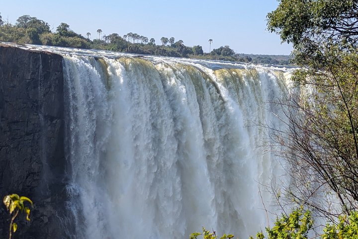 Excursão Especialista de Victoria Falls no Zimbábue e Zâmbia