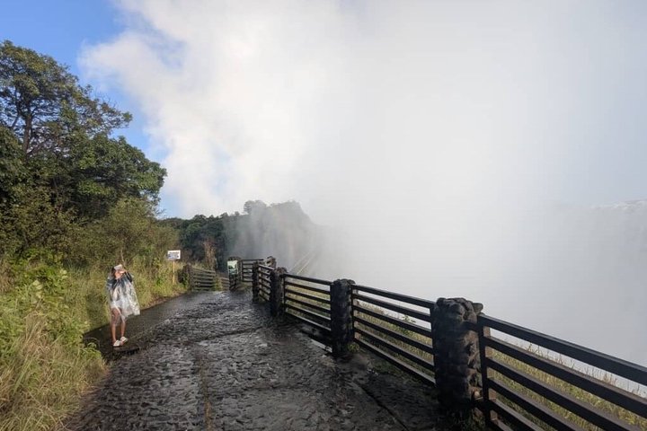 Excursão Especialista de Victoria Falls no Zimbábue e Zâmbia