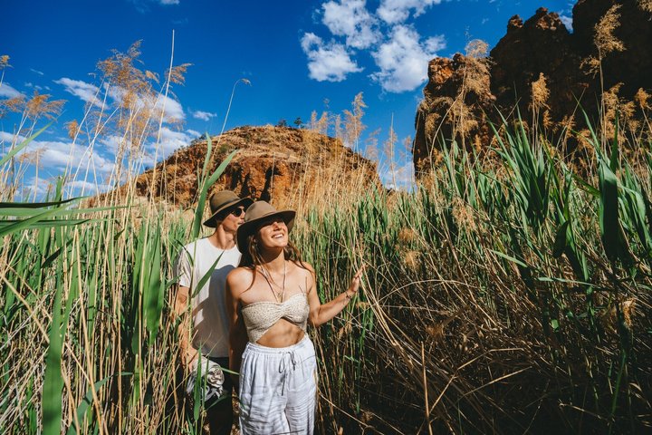 West MacDonnell Ranges e Standley Chasm Day Trip da Alice Springs
