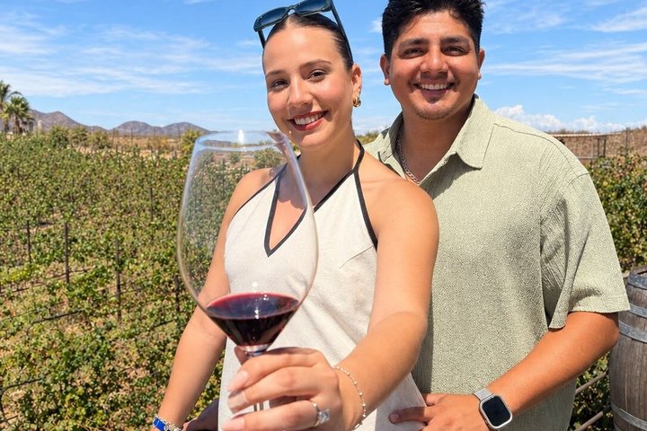 Privé wijntour Valle de Guadalupe : alle wijnproeverijen inbegrepen