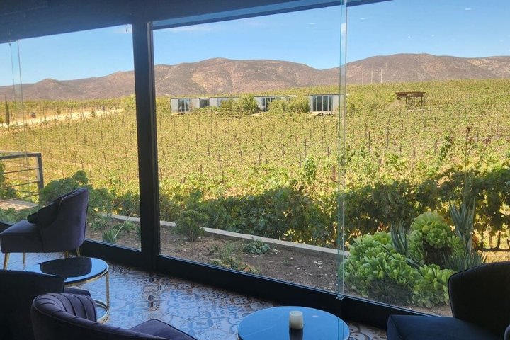 Privé wijntour Valle de Guadalupe : alle wijnproeverijen inbegrepen