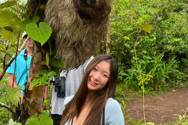 Sloth Watching & Wildlife, Coffee, Chocolate and Waterfall