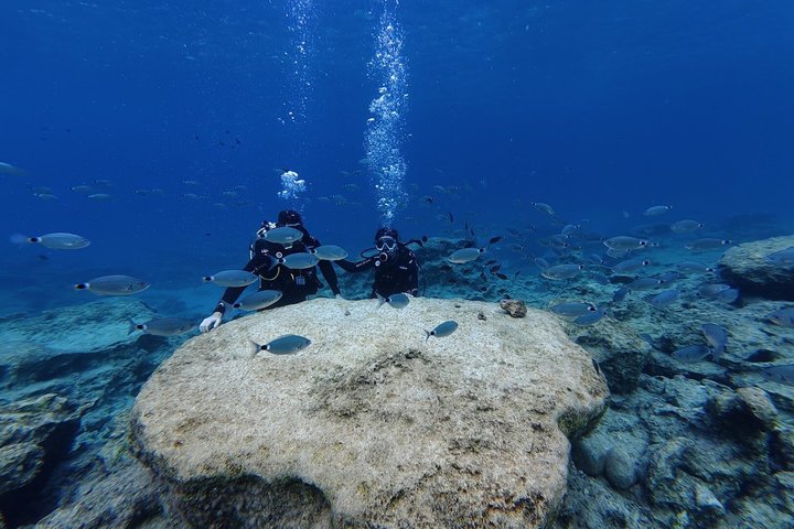 Ontdek Scuba Duiken in Protaras - Privé + Foto's & Video's