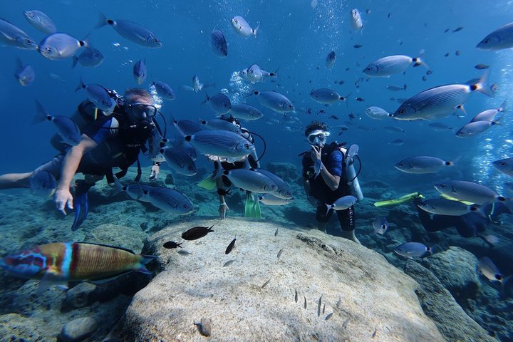 Ontdek Scuba Duiken in Protaras - Privé + Foto's & Video's