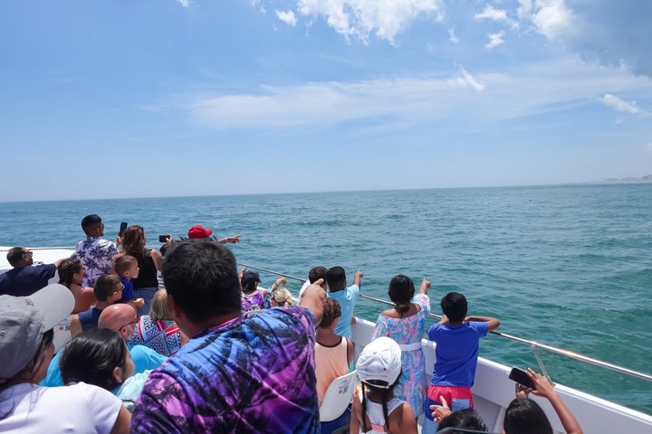 45-minütige Sea Rocket Speed Boat & Dolphin Cruise in Ocean City MD