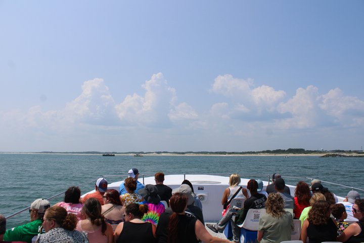 45-minütige Sea Rocket Speed Boat & Dolphin Cruise in Ocean City MD